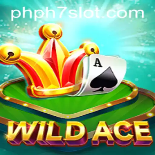 Exploring the Thrills of WildAce: The Ultimate Card Game Experience